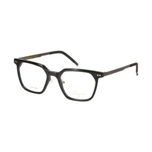 Brýlové obroučky Rigiro RGR-23024 c01 black 50/19/145