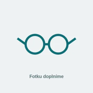 Zástupný symbol